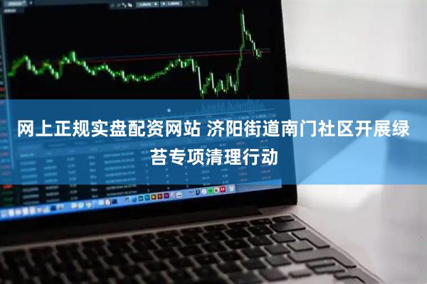 网上正规实盘配资网站 济阳街道南门社区开展绿苔专项清理行动